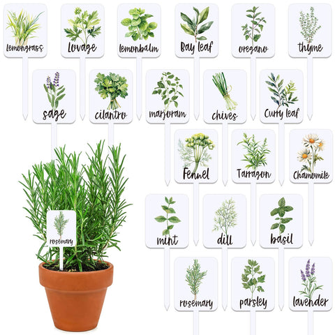 FYSUIMU plant label signs in 20 styles for easy garden organization.