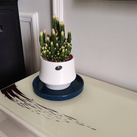 Fzfeiyy blue ceramic tray adds minimalist style while protecting furniture
