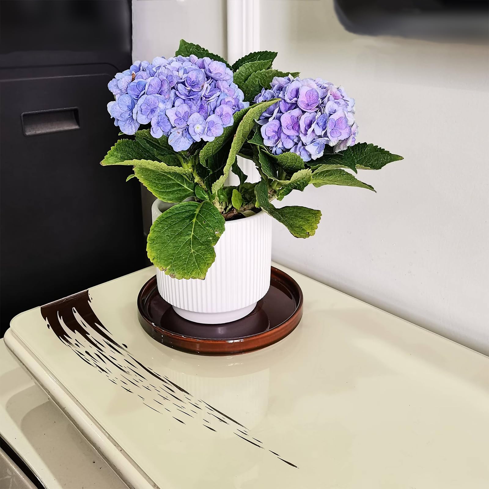 Fzfeiyy ceramic tray suitable for indoor and outdoor use