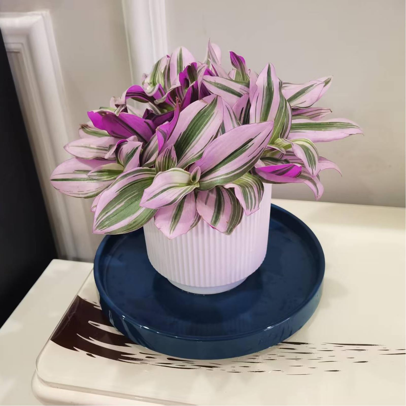Fzfeiyy blue ceramic saucer suitable for indoor or outdoor plants.
