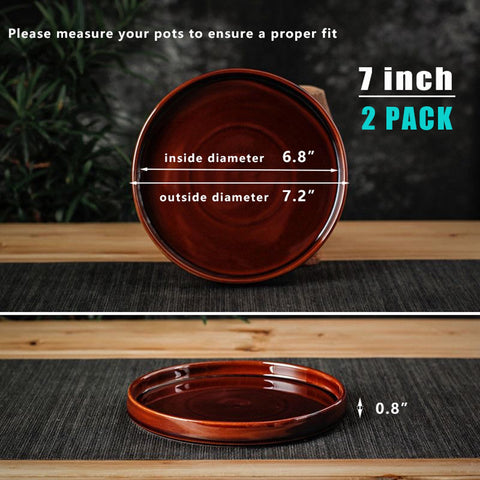 Fzfeiyy plant saucer two-pack shown for comparison