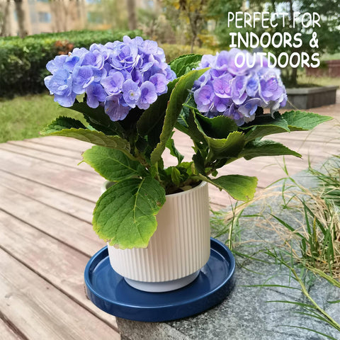 Fzfeiyy blue ceramic plant tray prevents soil and water mess for tidy indoor spaces