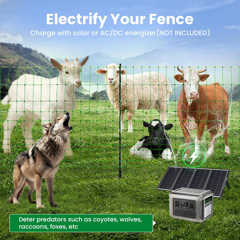 FZIFZI double-spiked stakes reinforce stability against wind and weather