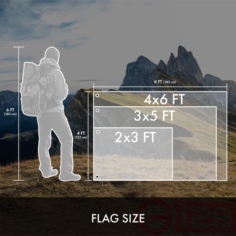 G128 dual-sided Michigan State flag ensures legible imagery from both sides