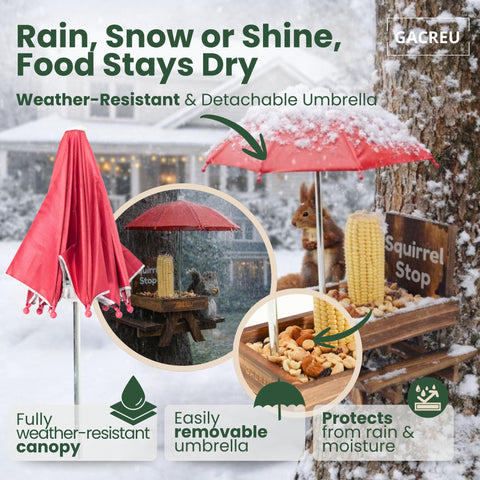 GACREU Squirrel Feeder supports corn and nut snacks for backyard wildlife viewing.
