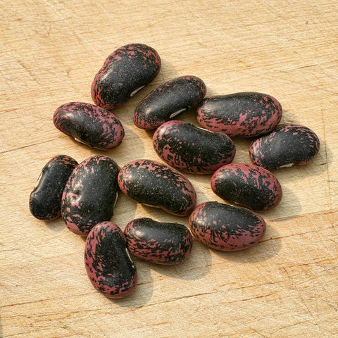 Gaea's Blessing scarlet runner bean red flowers brighten the garden