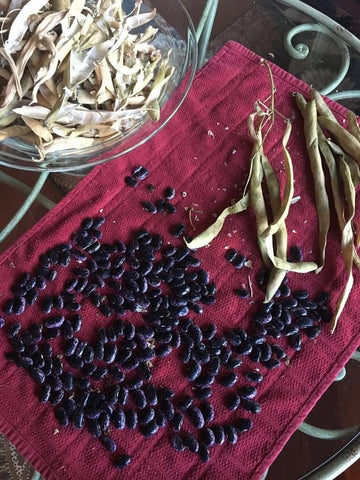 Gaea's Blessing seeds supporting sustainable farming practices