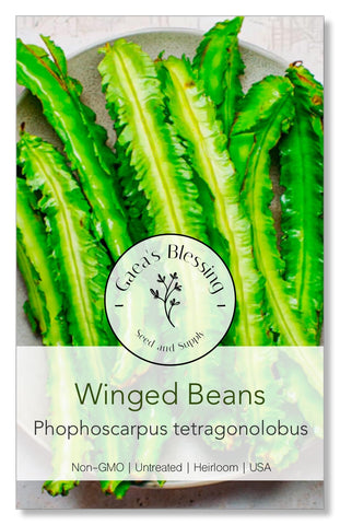 Gaea's Blessing winged bean seeds, open-pollinated and non-GMO, ideal for sustainable home gardens.