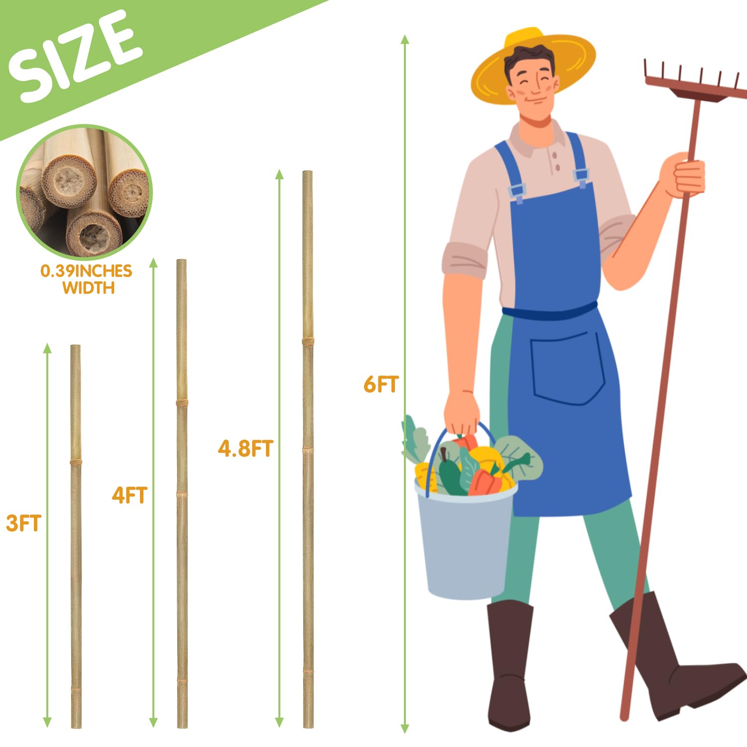 GAGINANG 25pcs bamboo sticks ideal for trellis and plant support