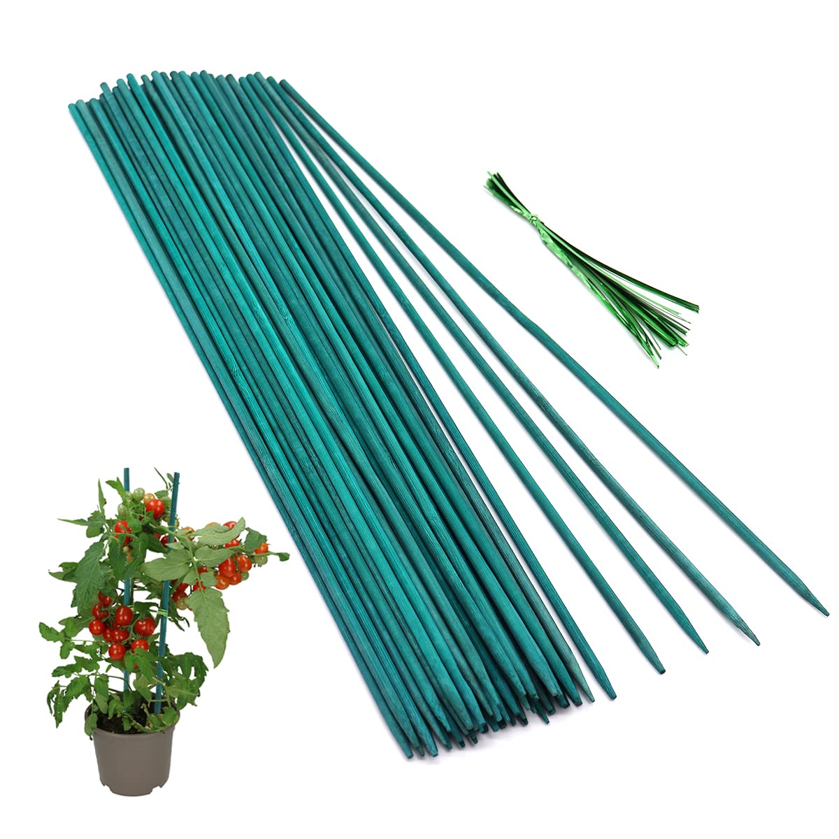 GAGINANG 50-piece green 18-inch bamboo plant stakes for sturdy support.