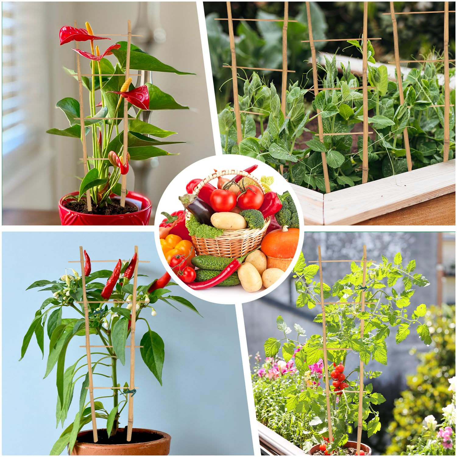 GAGINANG bamboo trellis enhances indoor plant displays with brighter light exposure.