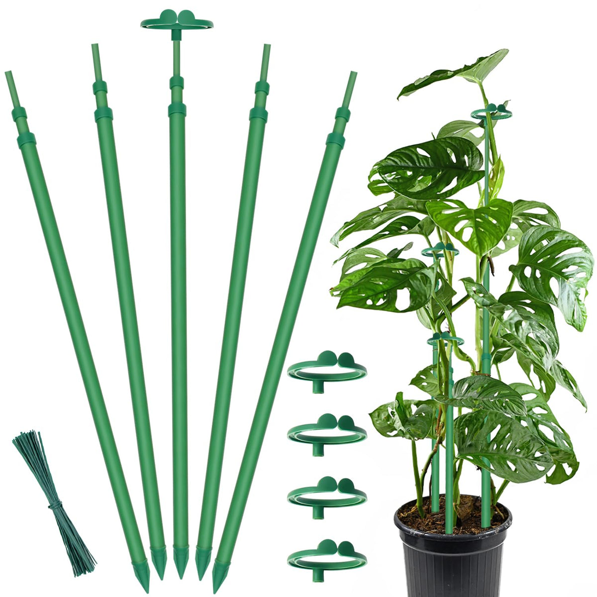 GAGINANG extendable plant stakes with telescoping length for adjustable support through growth stages, indoors or outdoors.