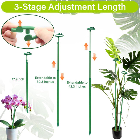 Three-pack stakes support seedlings to mature plants in indoor/outdoor setups.