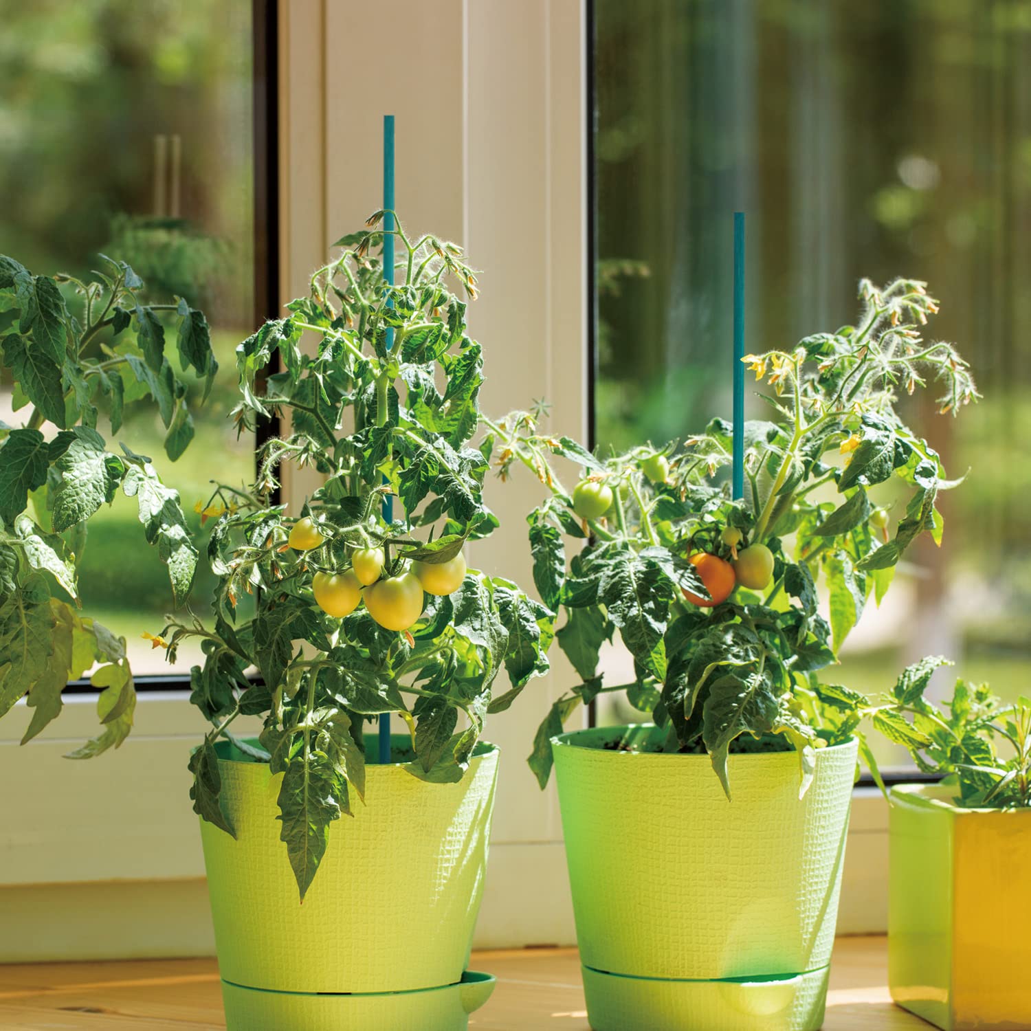 GAGINANG 25-pack with tape for secure plant support setups.