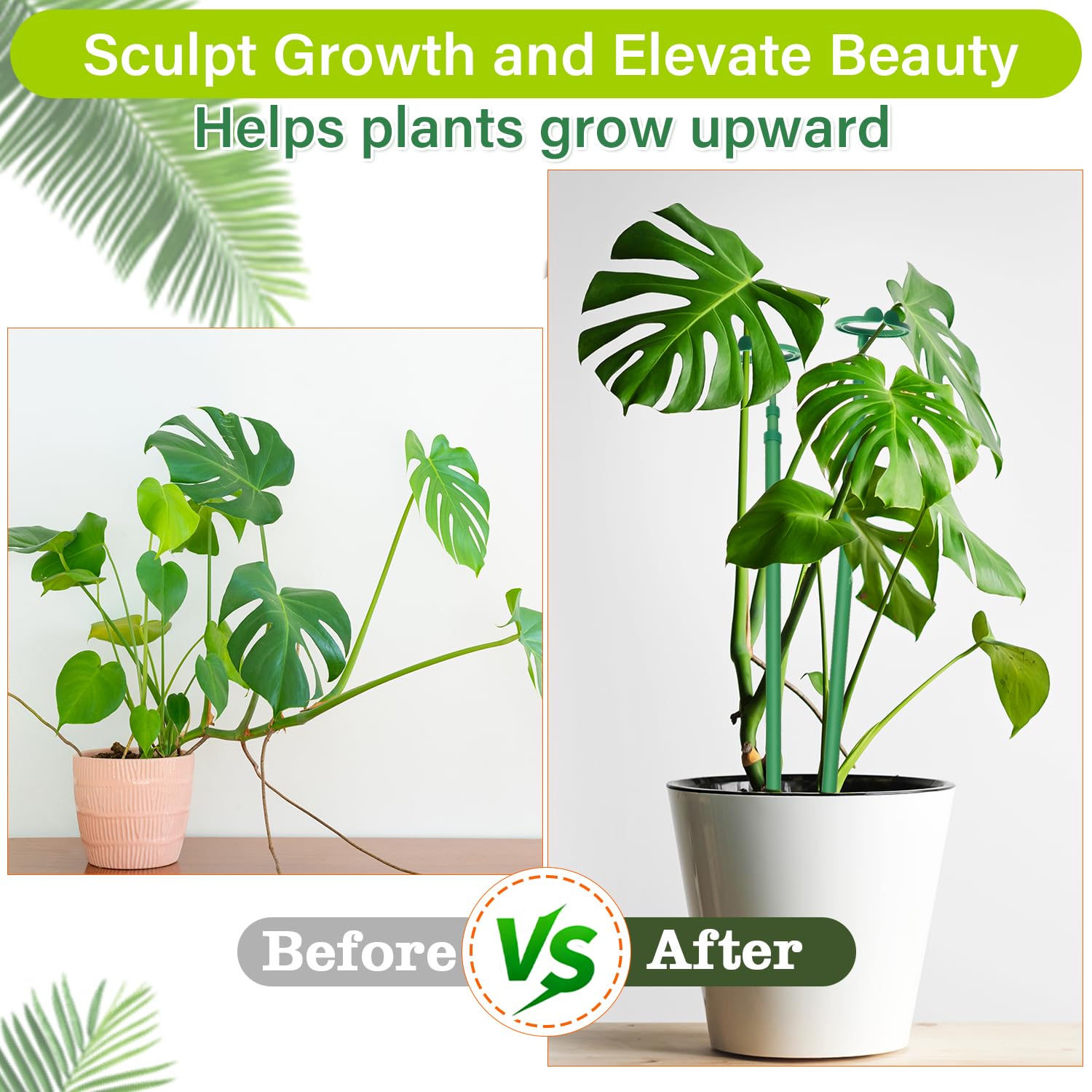 Top clips and green ties help vines stay neat as they grow.