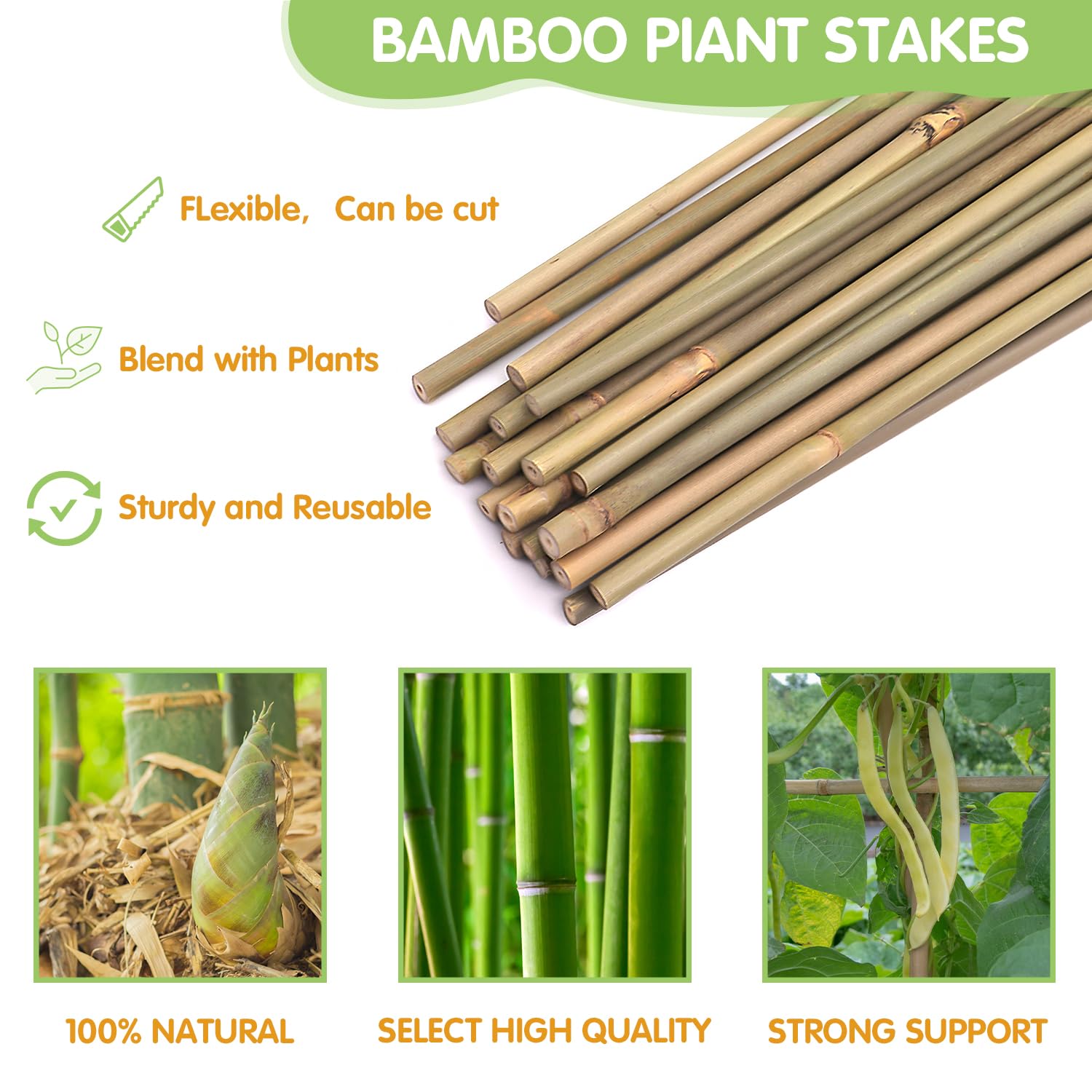GAGINANG natural bamboo stake highlighting eco-friendly garden material