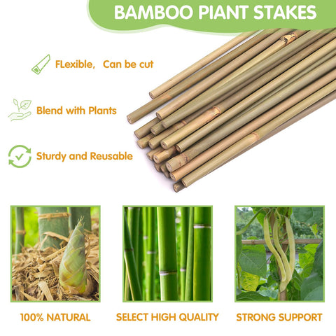 GAGINANG natural bamboo stake highlighting eco-friendly garden material