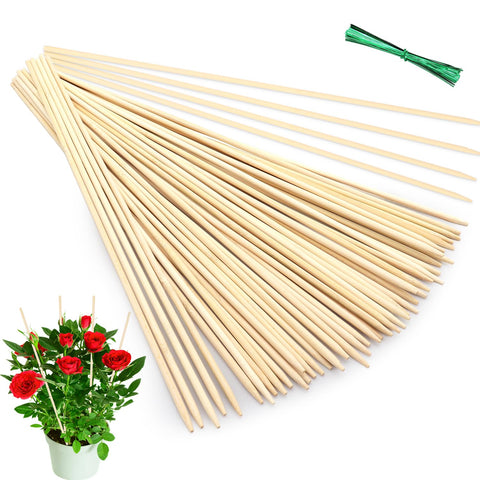 GAGINANG 18-inch bamboo plant stake supporting garden plants.