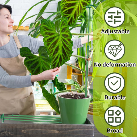GAGINANG tomato, orchid, and climbing plants supported by extendable stakes for upright growth.