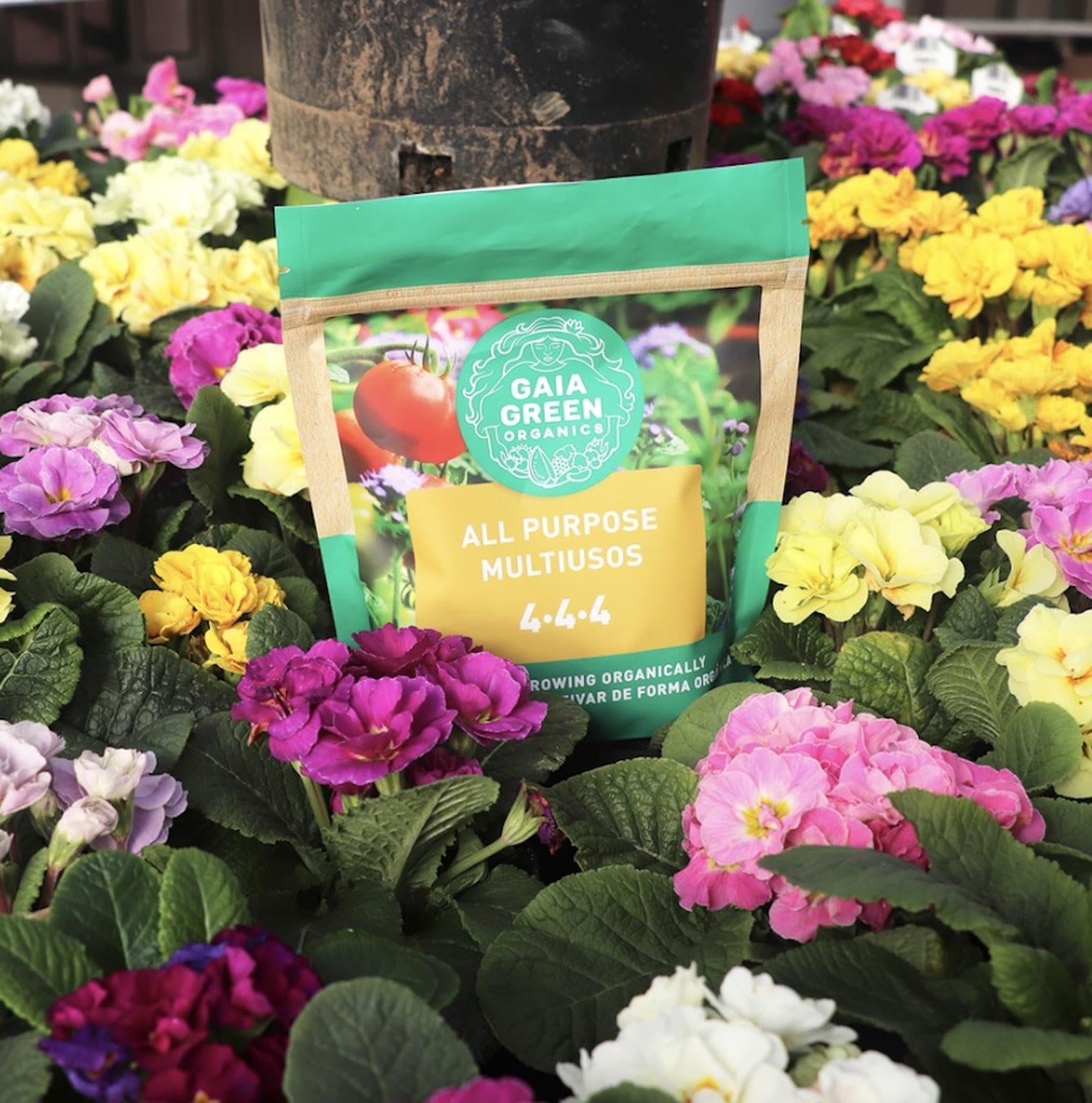 Gaia Green 4-4-4 garden application demonstrates safe, steady nutrient release for thriving beds.