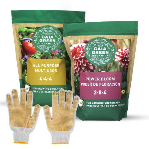 Gaia Green bundle packaging with resealable pouches for easy storage.