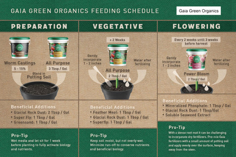 Gaia Green Power Bloom bottle highlighting flowering and fruiting support.