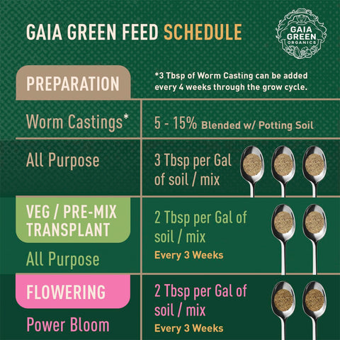 Power Bloom supports robust root development in potted plants