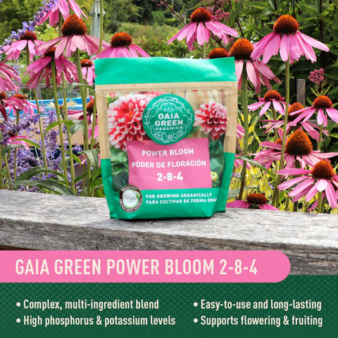 Gaia Green Power Bloom's long-lasting release supports multiple flowering cycles in hanging baskets and beds.