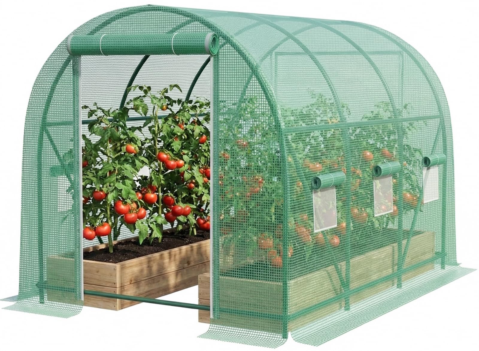 Gaildon walk-in greenhouse frame with sturdy galvanized steel for outdoor resilience.