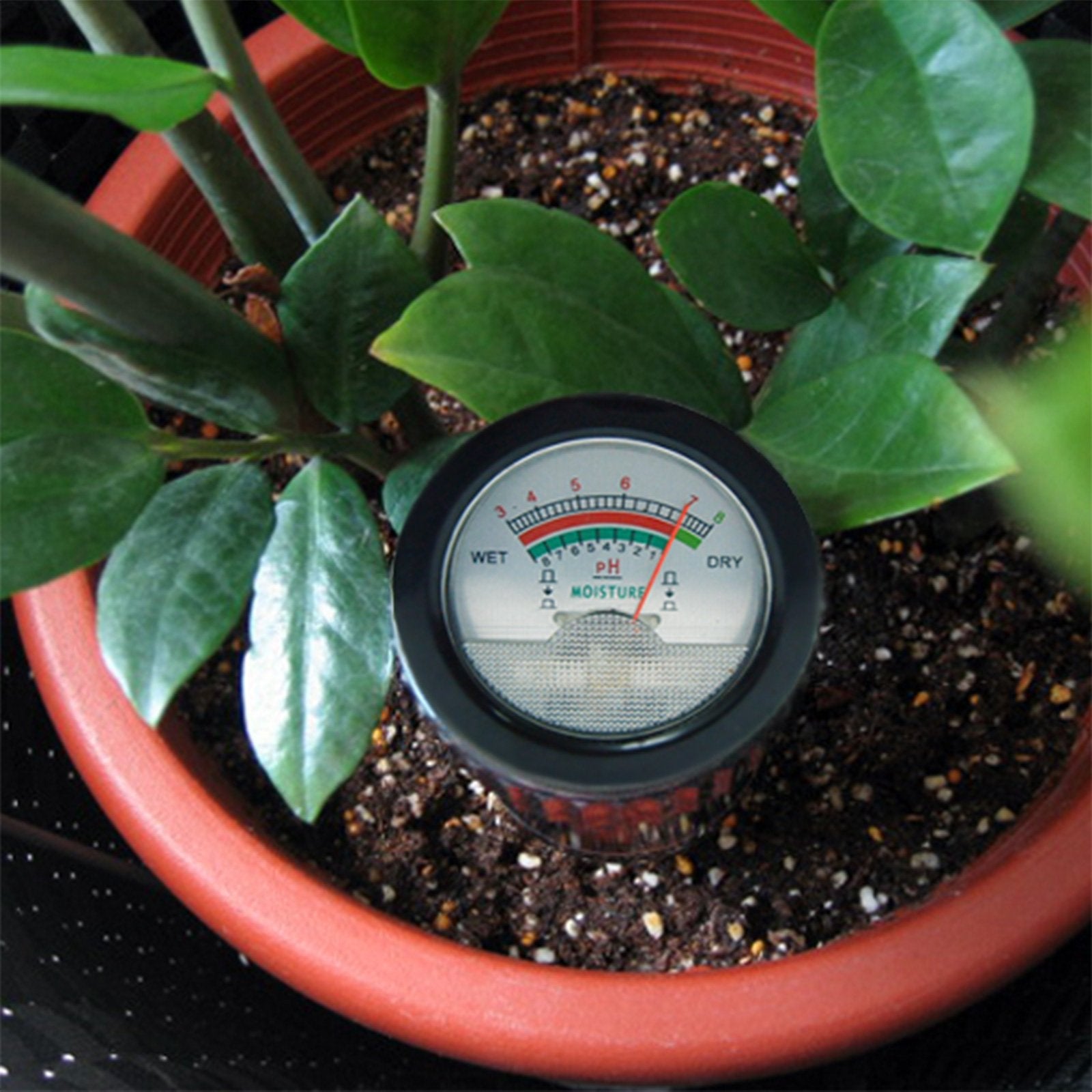 Gain Express moisture meter display for quick garden moisture readings