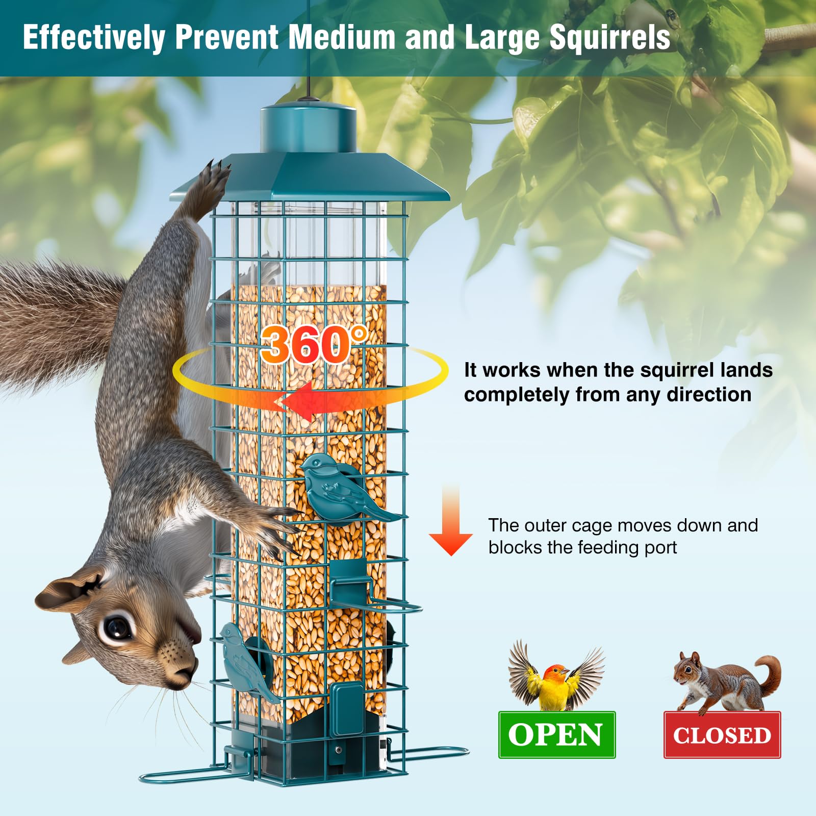 GAINSEN 3-pound capacity feeder ideal for mixed seeds like sunflower and peanuts.