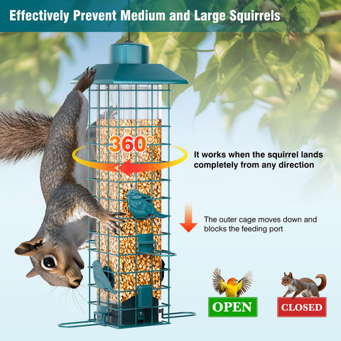 GAINSEN 3-pound capacity feeder ideal for mixed seeds like sunflower and peanuts.
