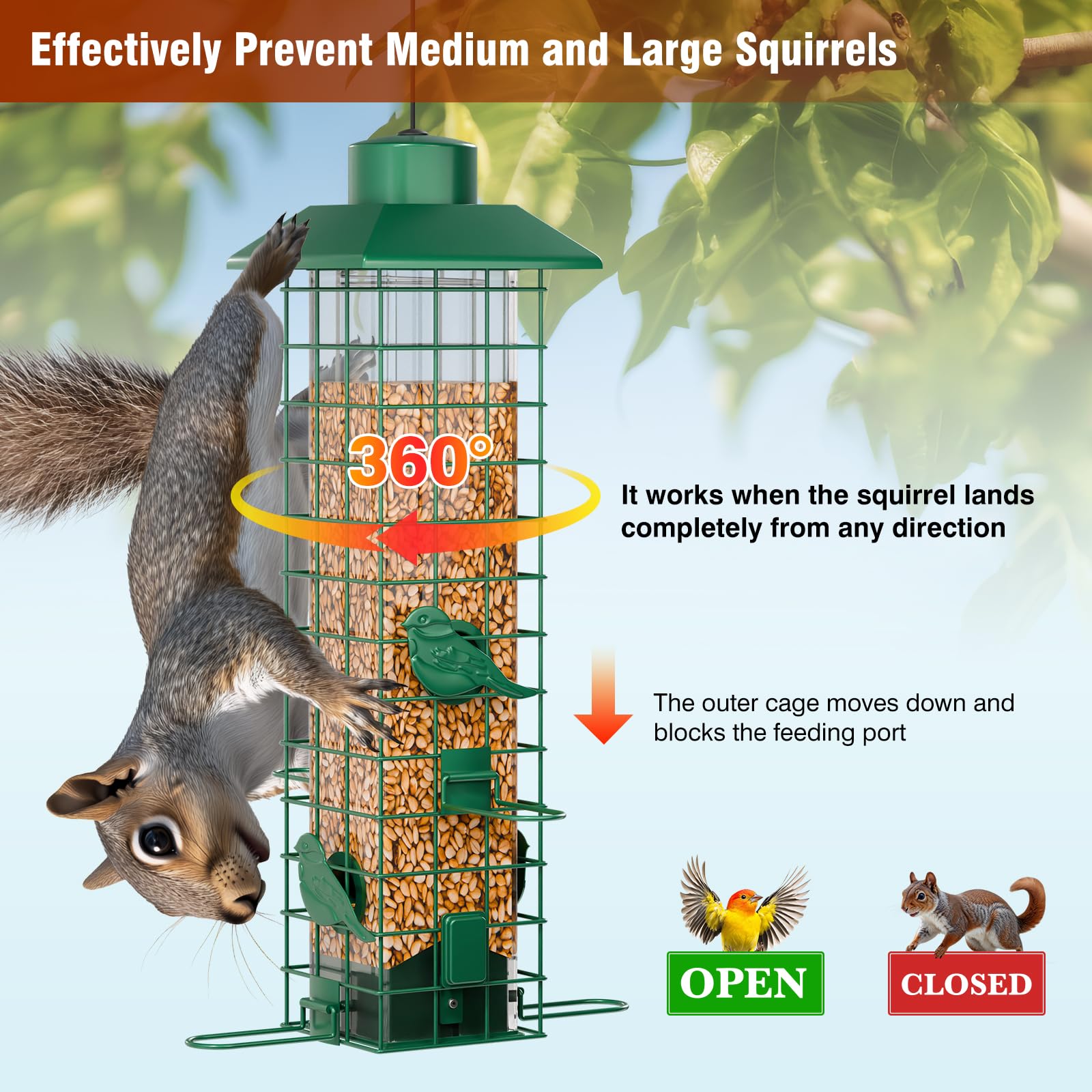 GAINSEN four-port tube feeder enables multiple birds to feed simultaneously