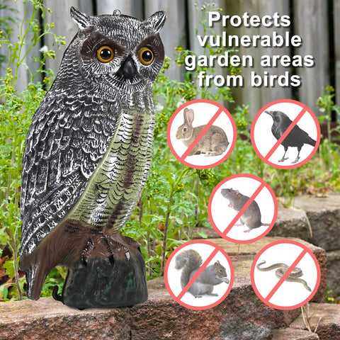 Galashield Owl Decoy weatherproof outdoor decoration for year-round bird control.