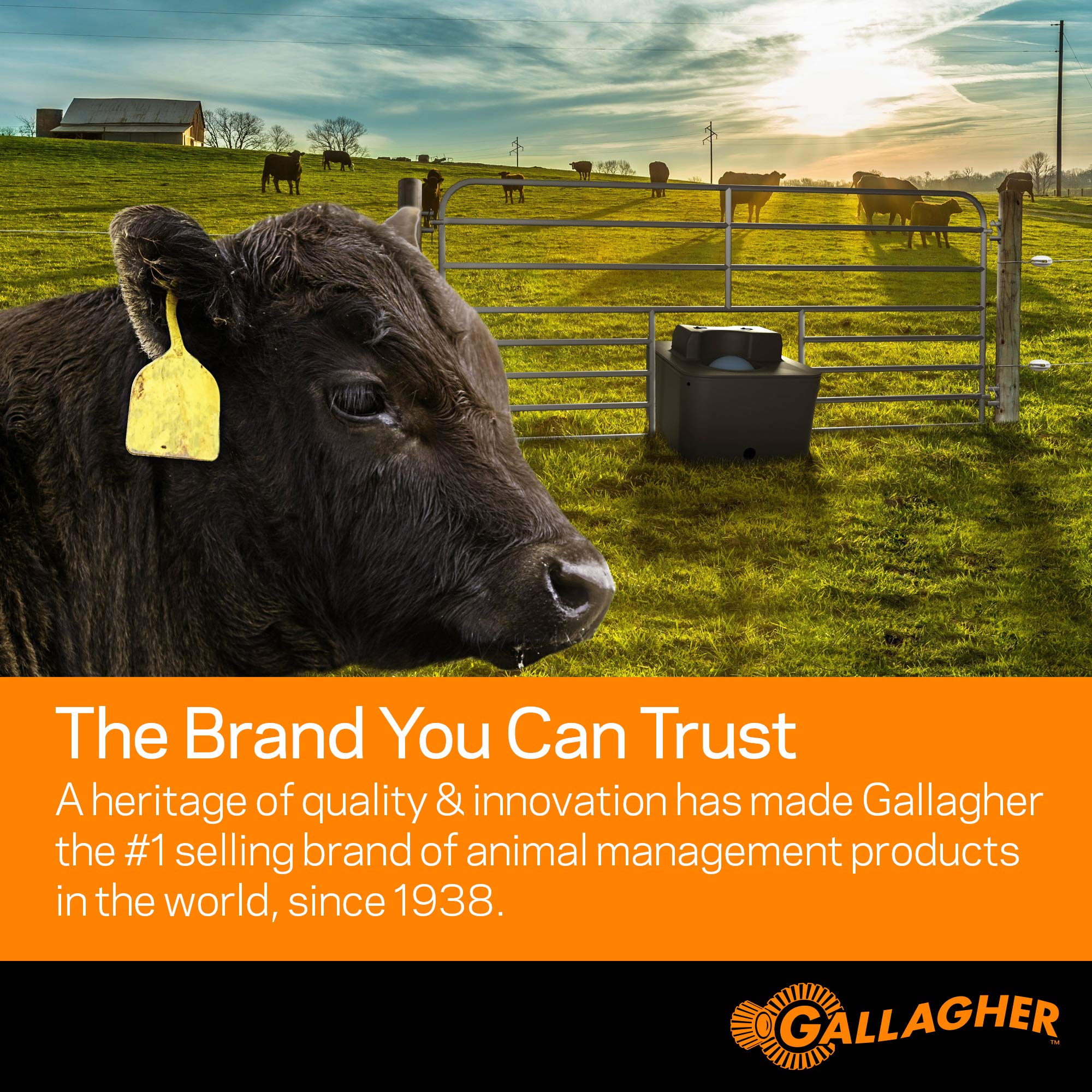 Gallagher S12 coverage up to four miles on single-wire fencing.