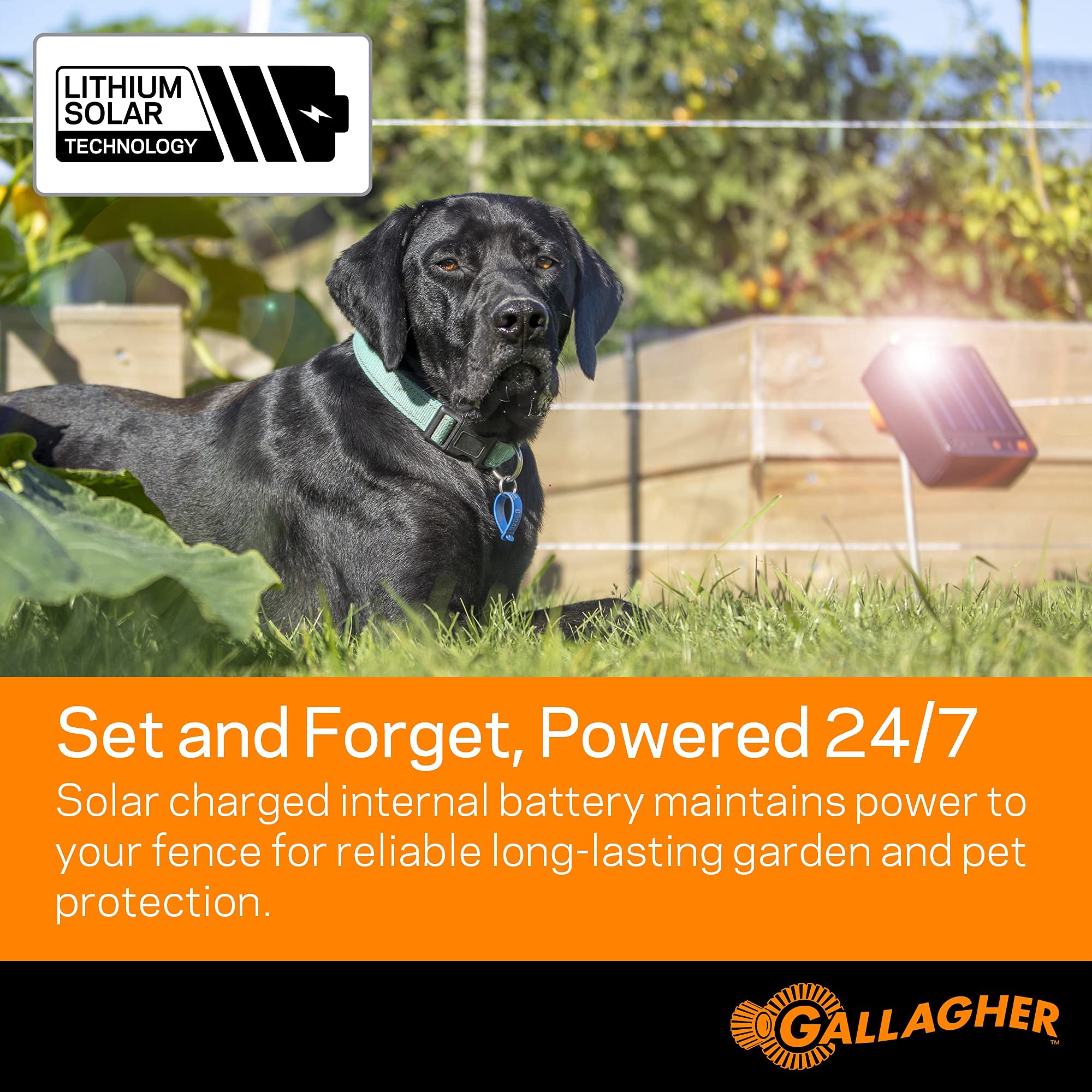 Gallagher S6 mounted on a grounding rod for quick, direct installation