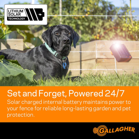 Gallagher S6 mounted on a grounding rod for quick, direct installation