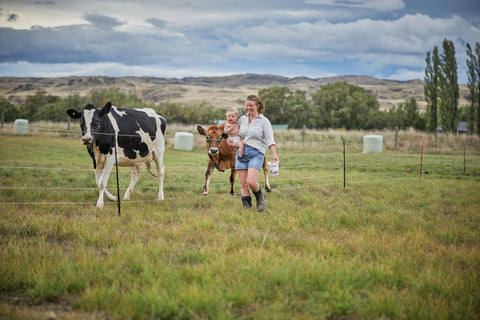 Seamless compatibility with Gallagher energizers for cohesive fencing setups.