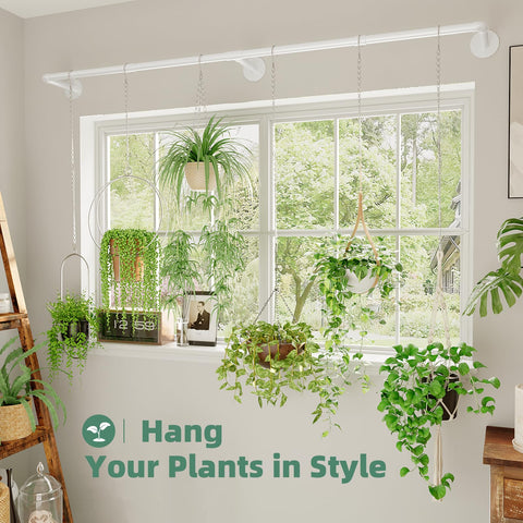 Galood indoor plant holder designed for ceiling mounting to save floor space.