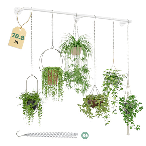 Galood plant hanger with six chains for a dramatic 73-inch ceiling display.