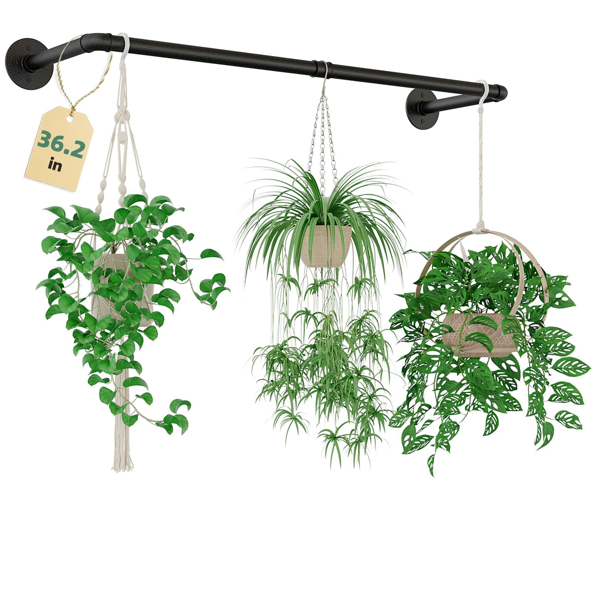 Galood plant hanger with black metal rod for indoor display