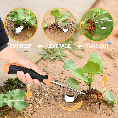 GANCHUN L-shape crack weeder reaching sidewalk gaps for crack weed removal