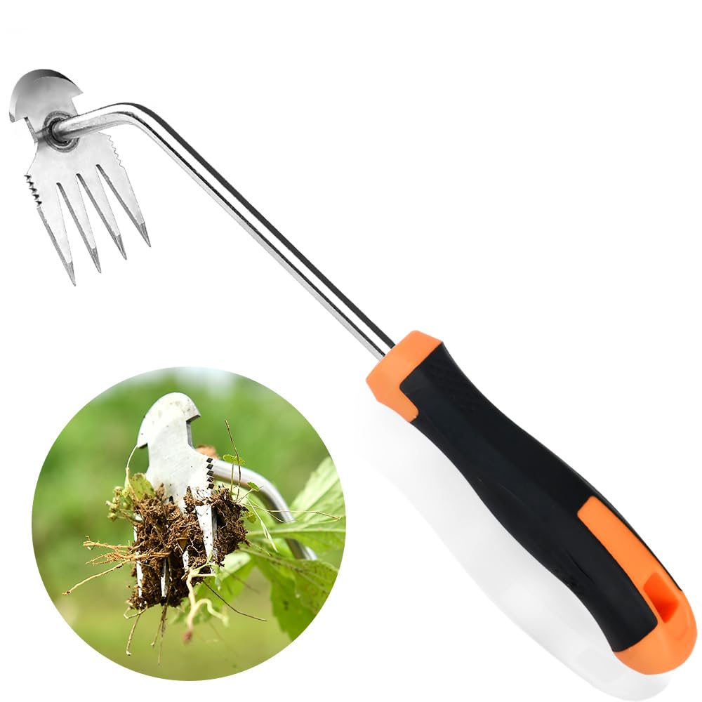 GANCHUN weed puller tool with four teeth for quick weed removal in gardens
