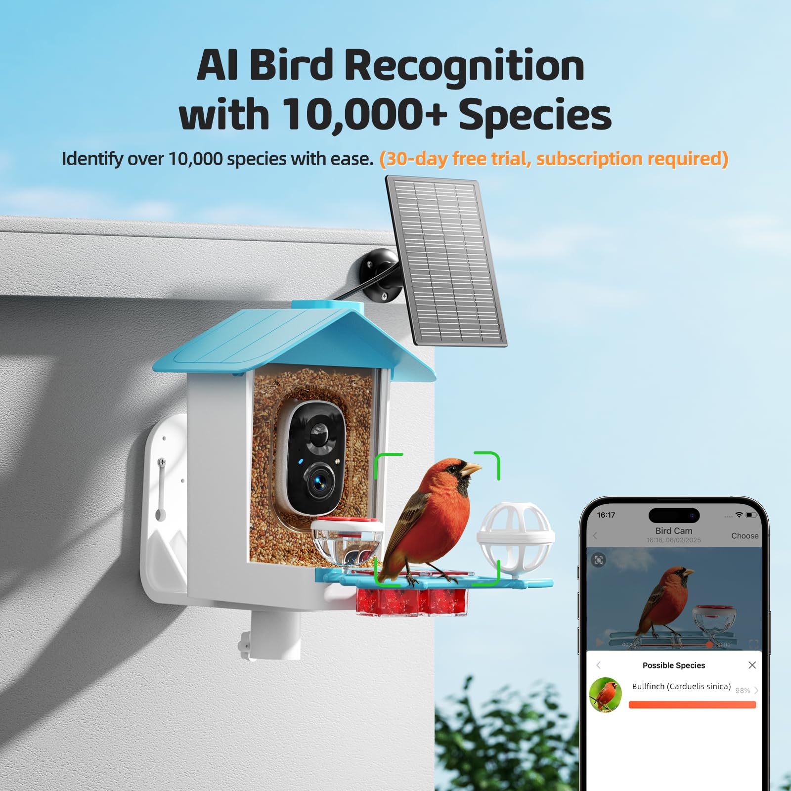 GAOYITK bird feeder uses AI to recognize bird species.