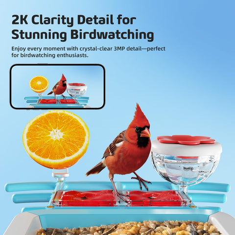 GAOYITK bird feeder makes a thoughtful gift for nature lovers.
