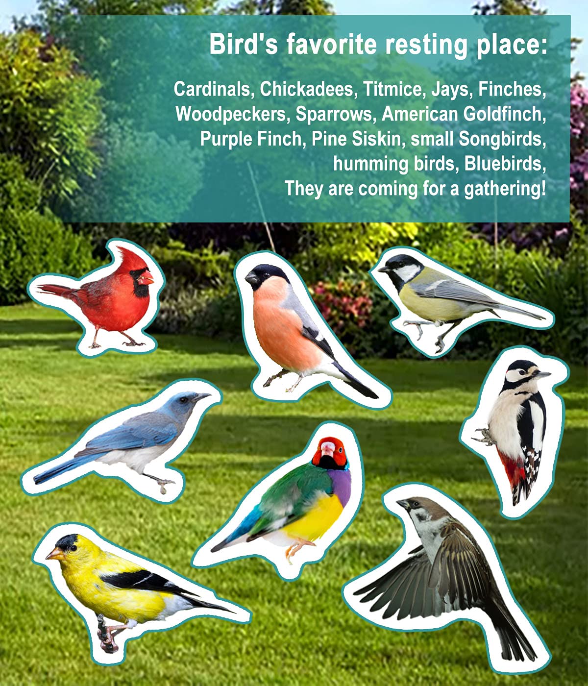 Garbuildman birdbath lifetime support ensures reliable customer assistance