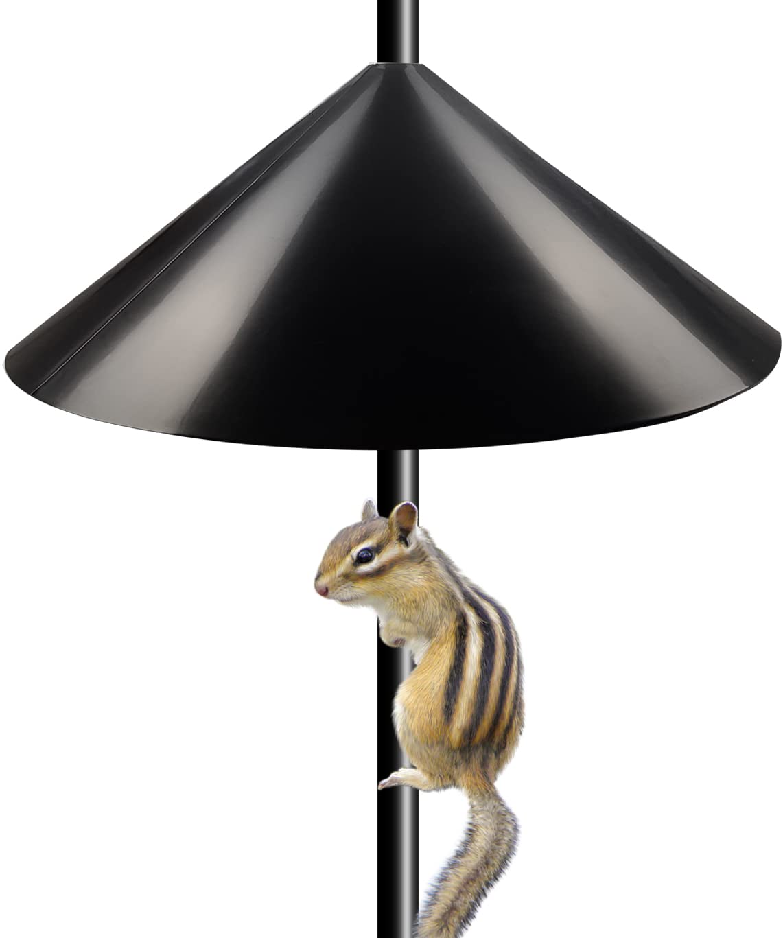 Garbuildman Squirrel Baffle on a pole with 19-inch diameter protects the feeder from squirrels