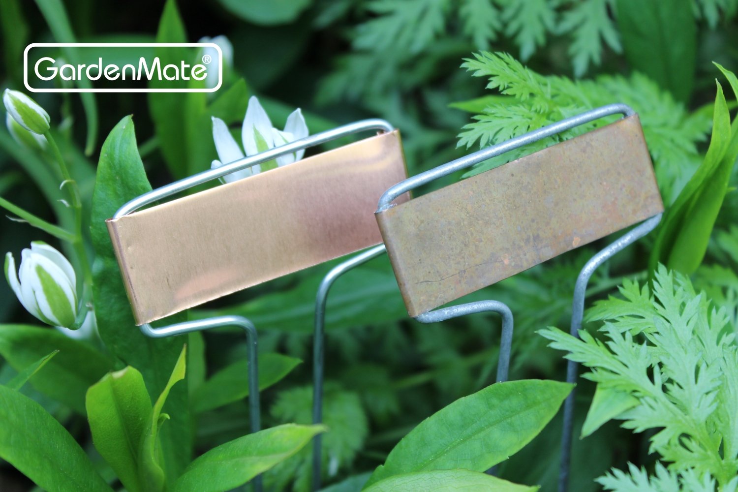 GardenMate weatherproof markers ensure legible labels through rain and sun