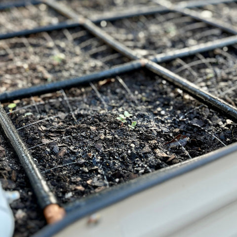 Garden Grid UV-resistant materials withstand outdoor garden conditions.