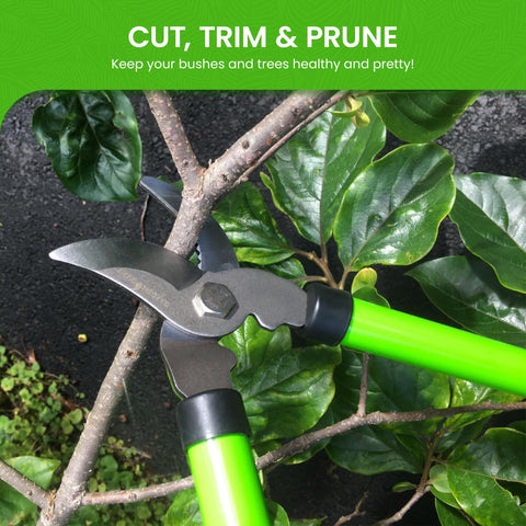 Garden Guru Bypass Loppers comfort grip handles reduce hand fatigue during pruning.